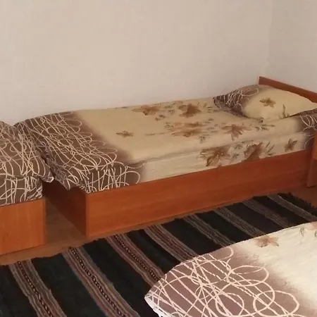 Guest house Вила Димитрови *