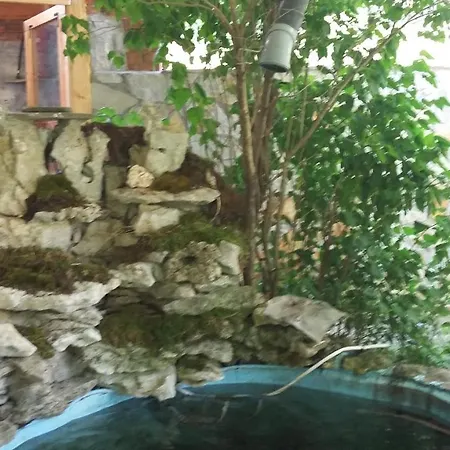 Вила Димитрови Guest house