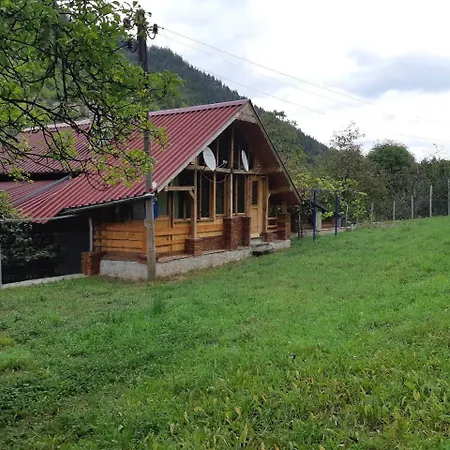 Guest house Вила Димитрови *