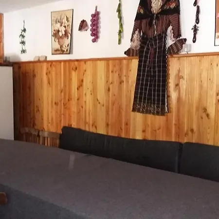 Guest house Вила Димитрови *